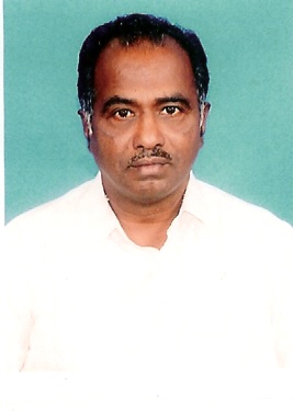 Senior Vice-President